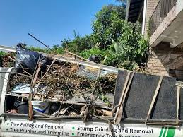 Best Basement Cleanout  in Nice, CA